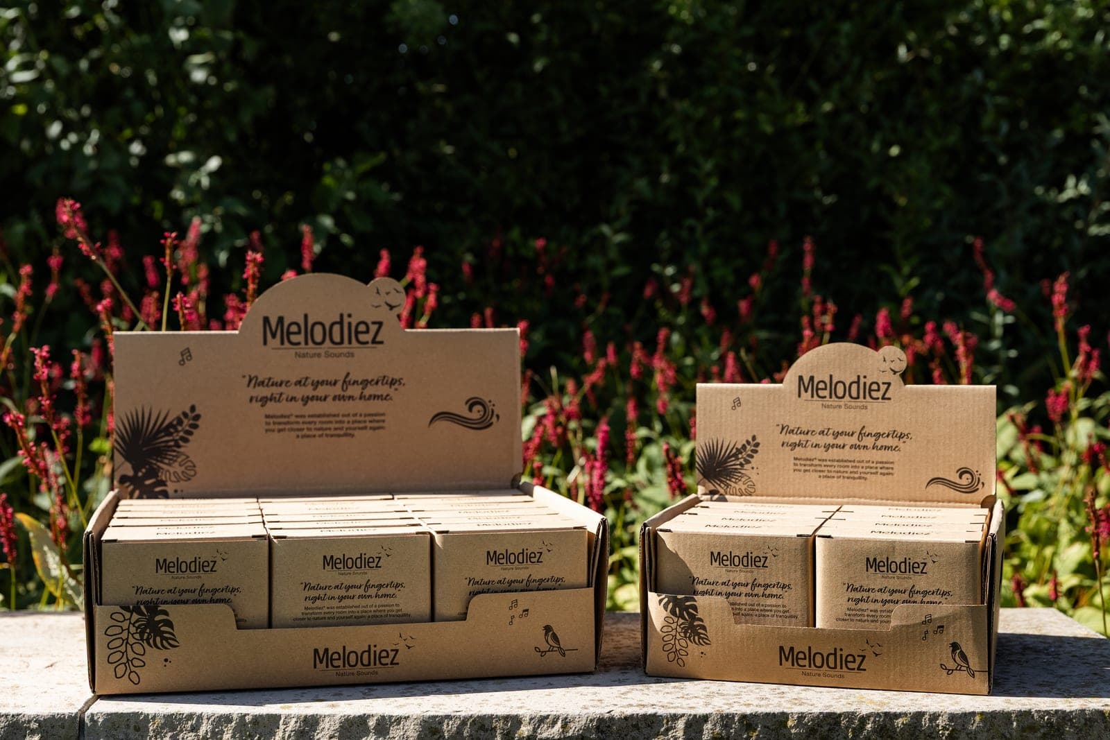 Beste Nature Box in Deutschland: Preise & Bewertungen