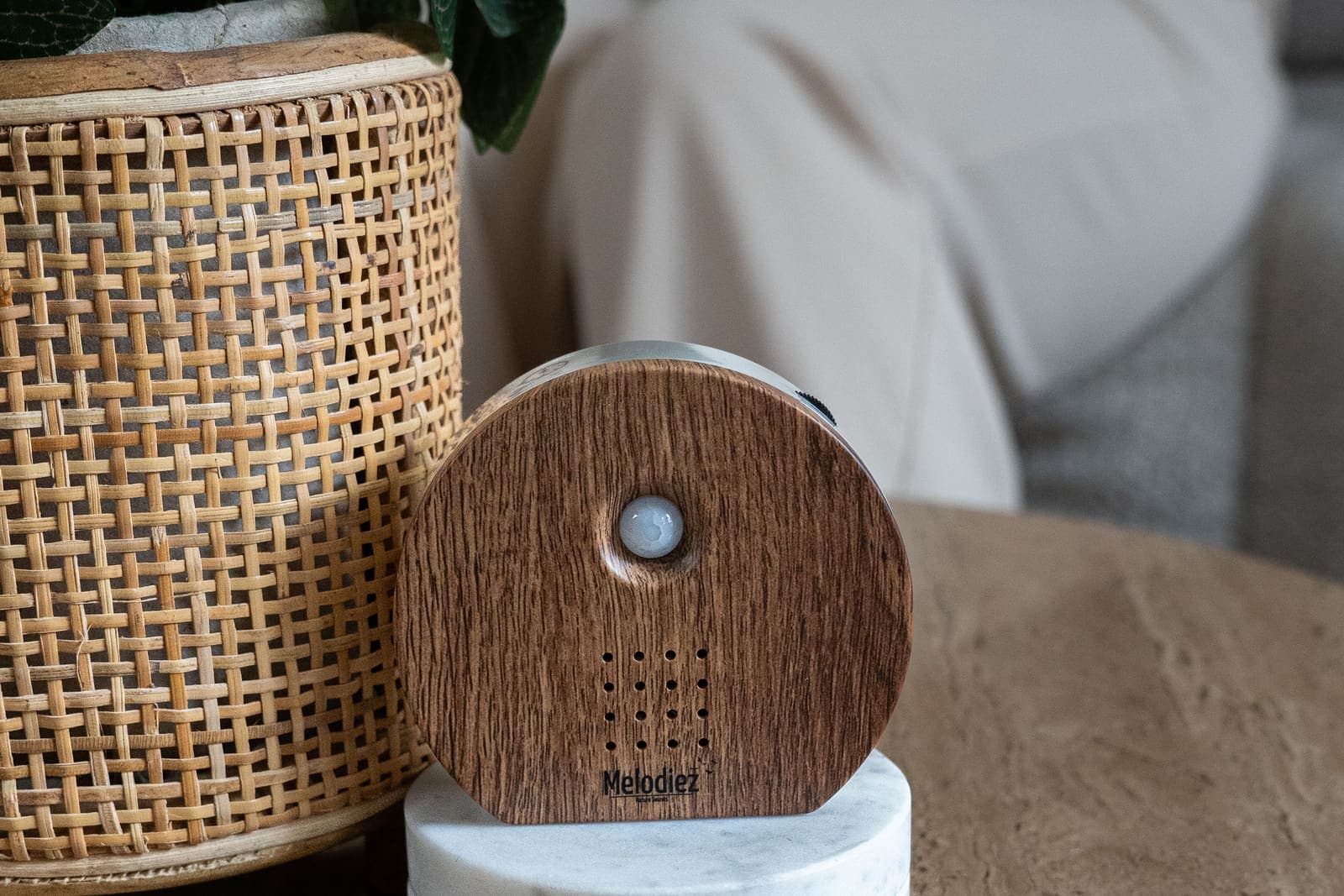 Der beste Platz für deine Nature Box: Raum für Raum