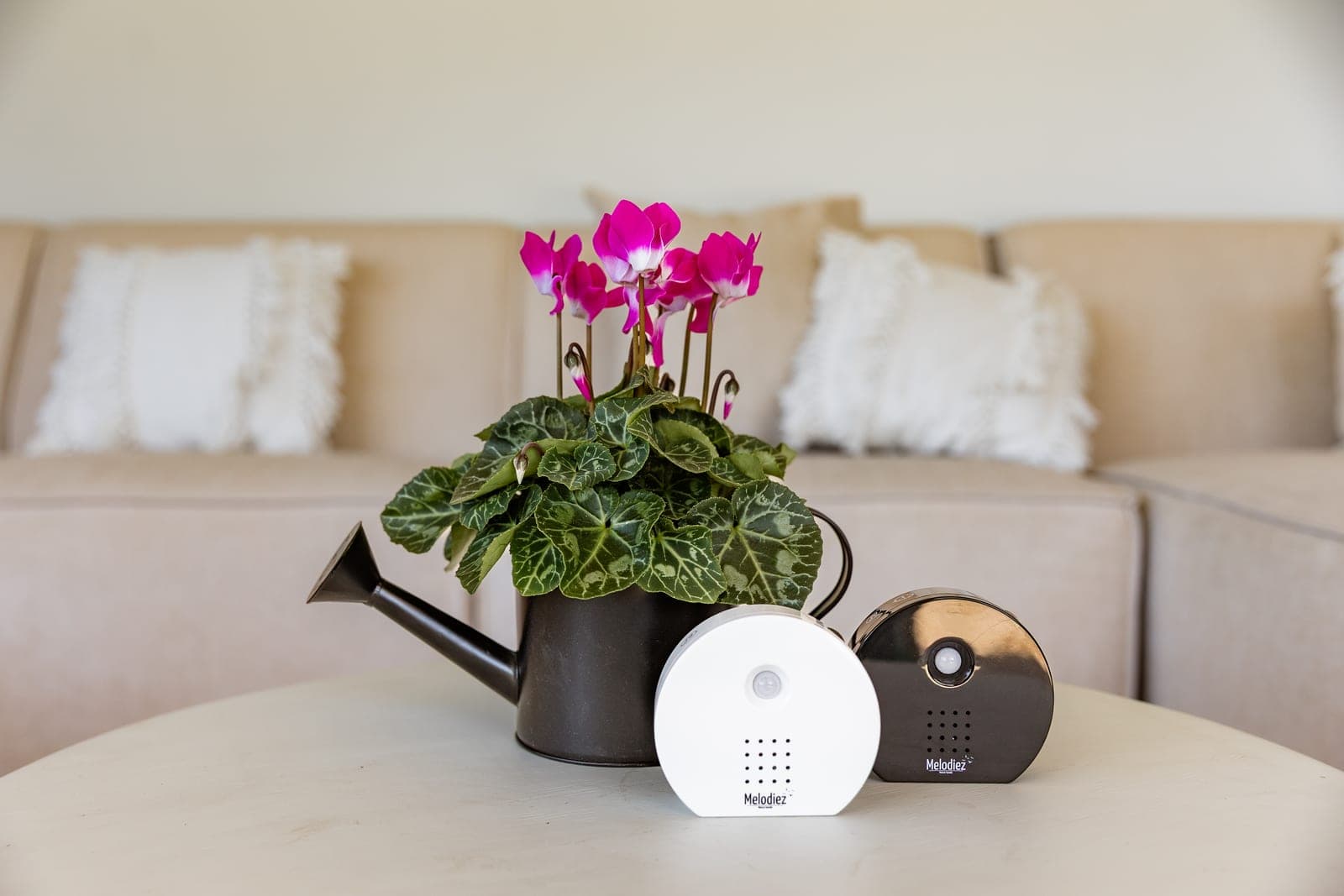 Nature Boxes vergleichen: Welche ist der beste Kauf?
