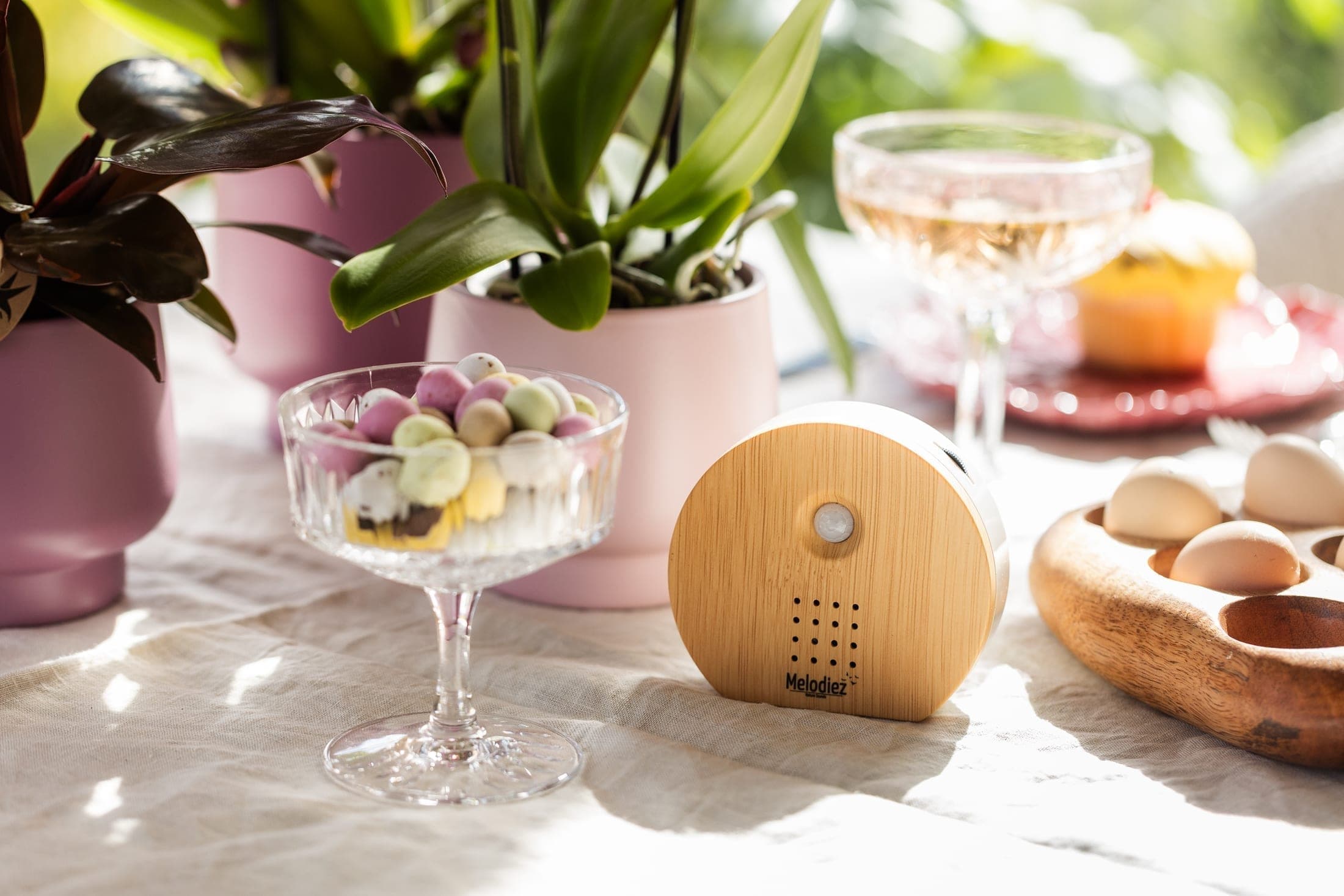 Melodiez Vogelhaus mit Sound aus Holz auf einem gedeckten Tisch, umgeben von Pflanzen