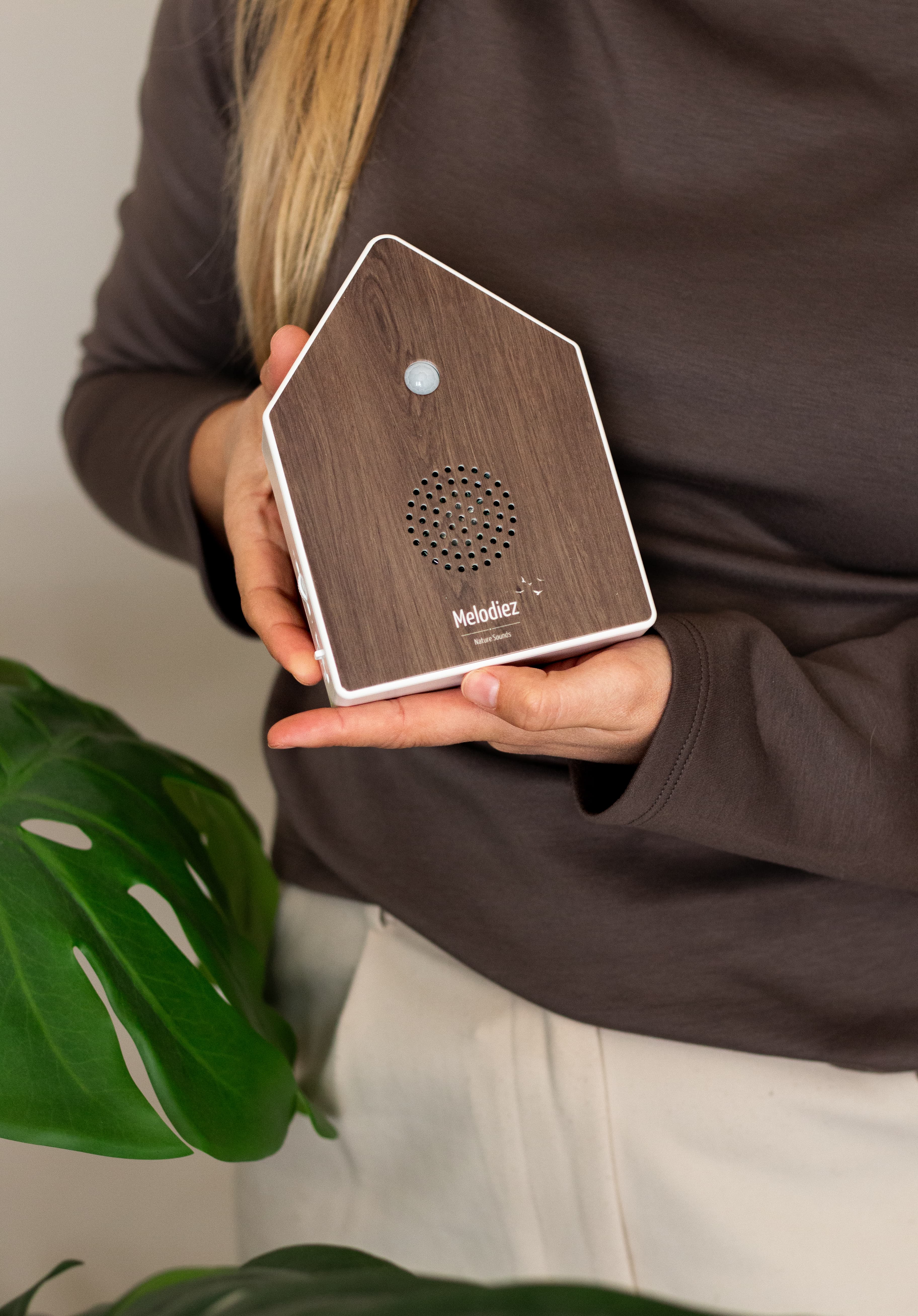 Melodiez Vogelhaus mit Sound im Schlafzimmer