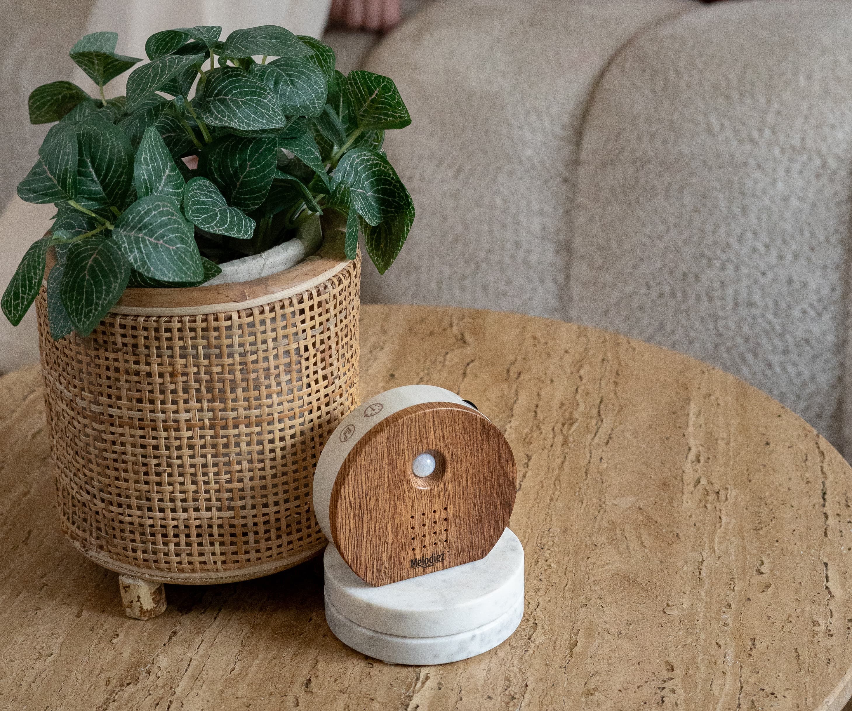 Melodiez Nature Box im Wohnzimmer, die Zwitscherbox Alternative