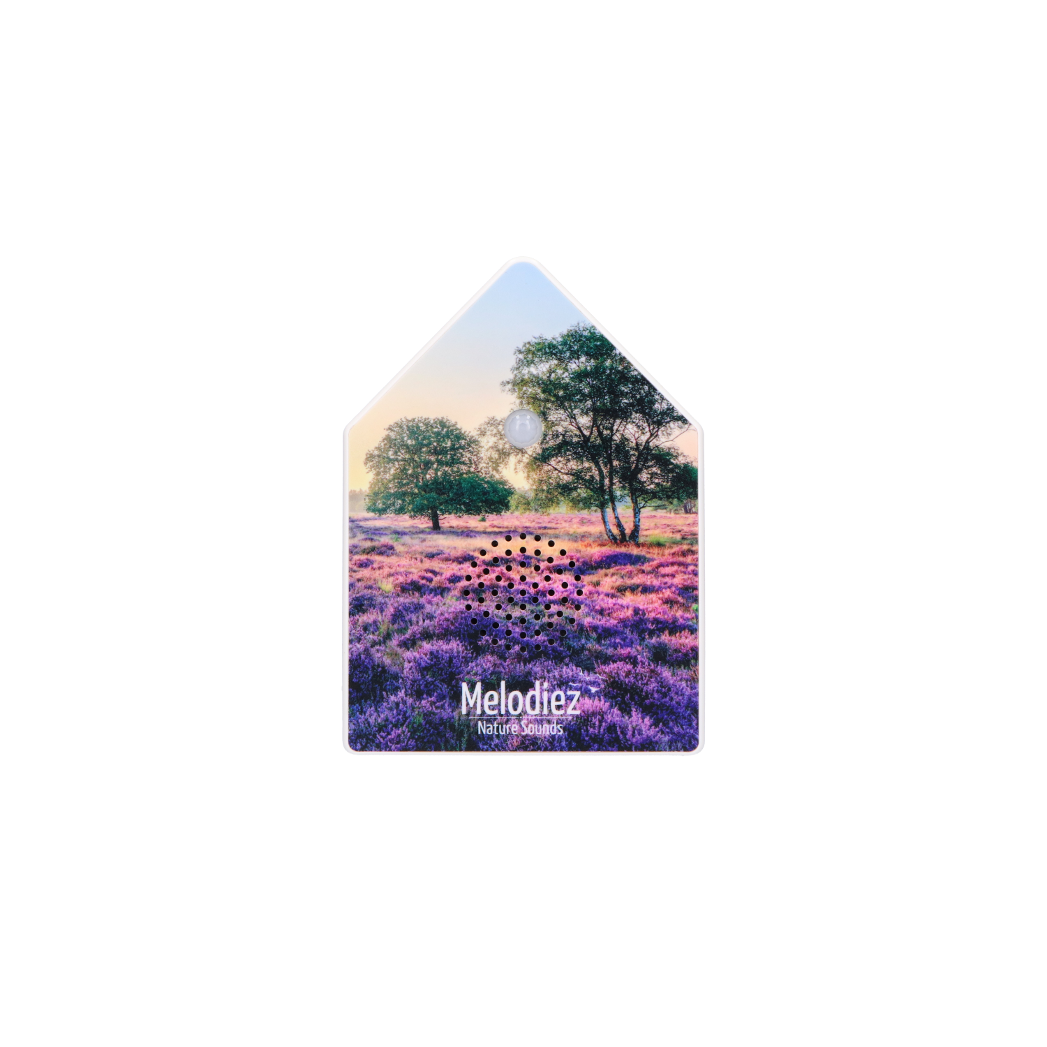 Melodiez Nature Box Lavender Dawn: Freistehendes Produktfoto