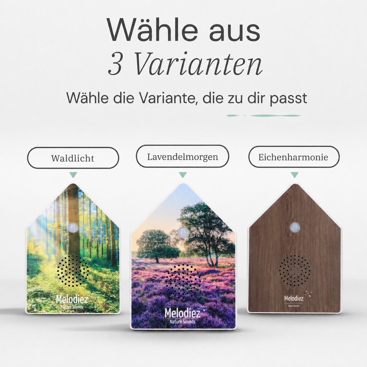 Melodiez Nature Box Lavender Dawn: Verfügbare Varianten