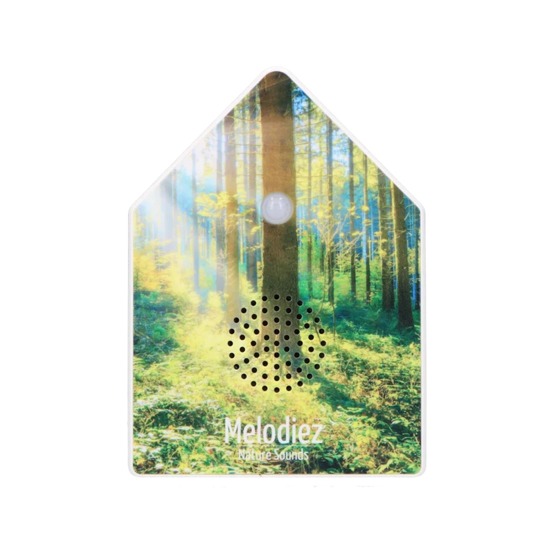 Forest Light
